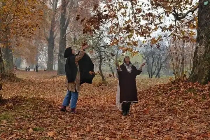 5-Day Kashmir Saffron Bloom & Autumn Colors Tour