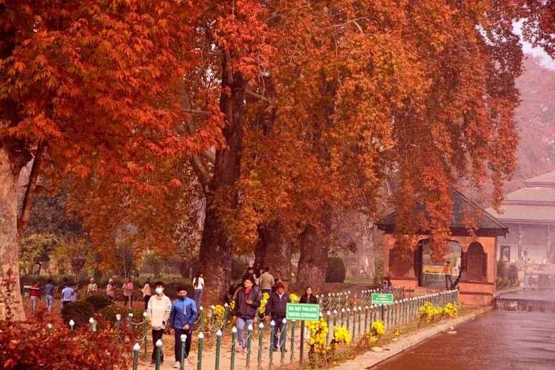 Autumn Bliss – 3 Days Kashmir Tour with Srinagar & Gulmarg